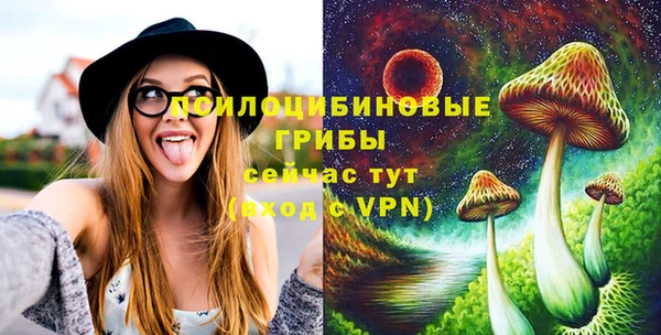 тгк Пролетарск