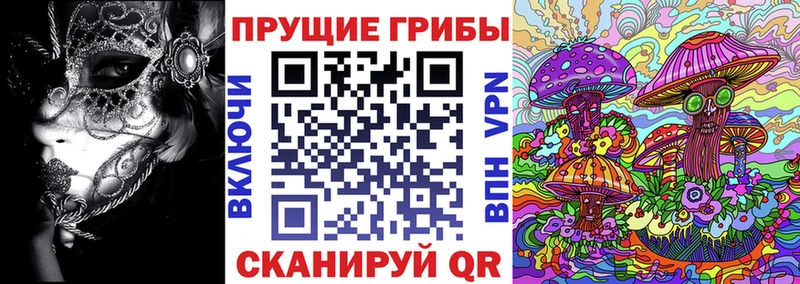 Псилоцибиновые грибы мицелий  Ершов 