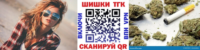 купить наркотик  Ершов  Каннабис сатива 